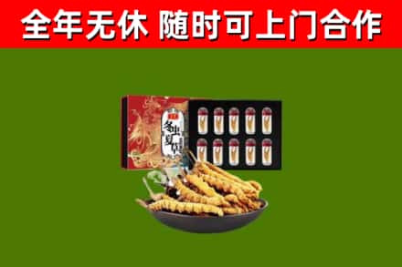 白玉县烟酒回收冬虫夏草礼盒.jpg